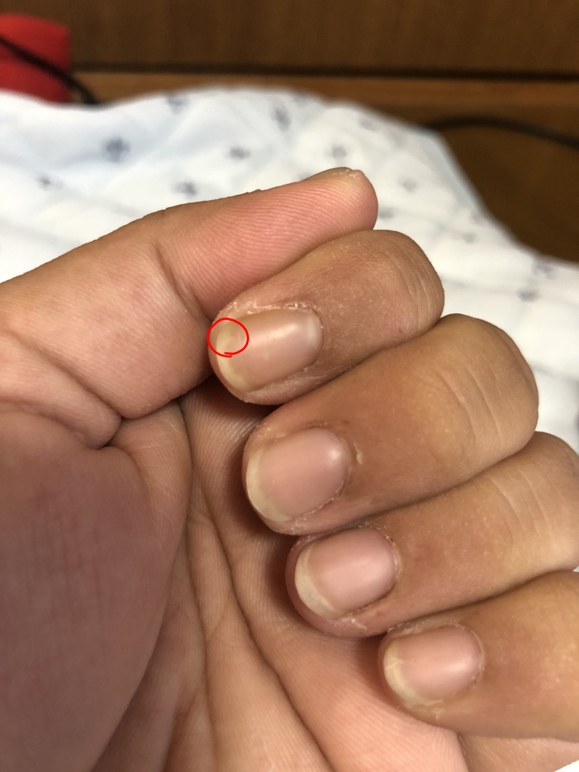 色が変わる ぐだぐだネイルスタジオ あわちゃんねるブログ