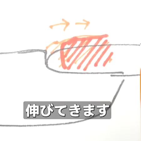 「これ何?」甘皮の白い段差の正体…?